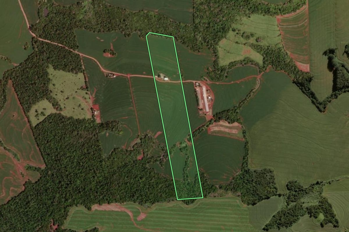 Imagem de satélite do imóvel rural em Nova Aurora (PR), com o contorno declarado no CAR desenhado por cima.