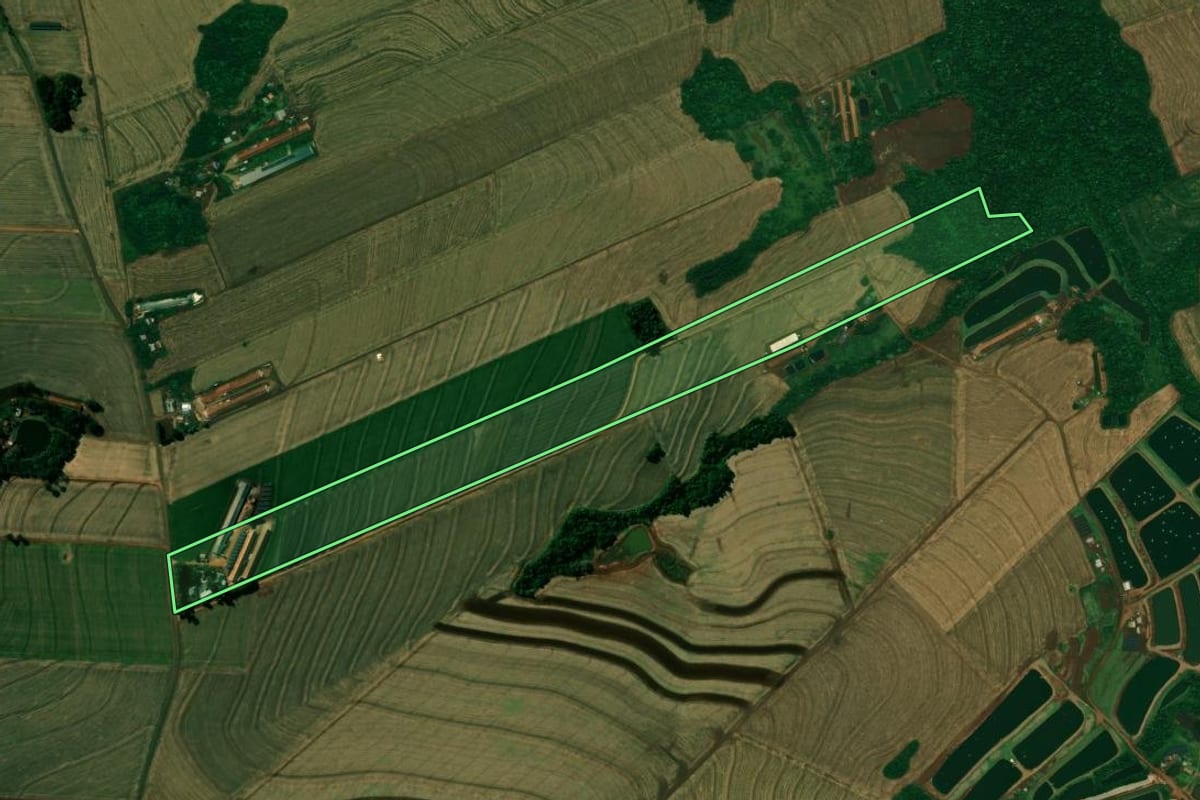Imagem de satélite do imóvel rural em Nova Aurora (PR), com o contorno declarado no CAR desenhado por cima.
