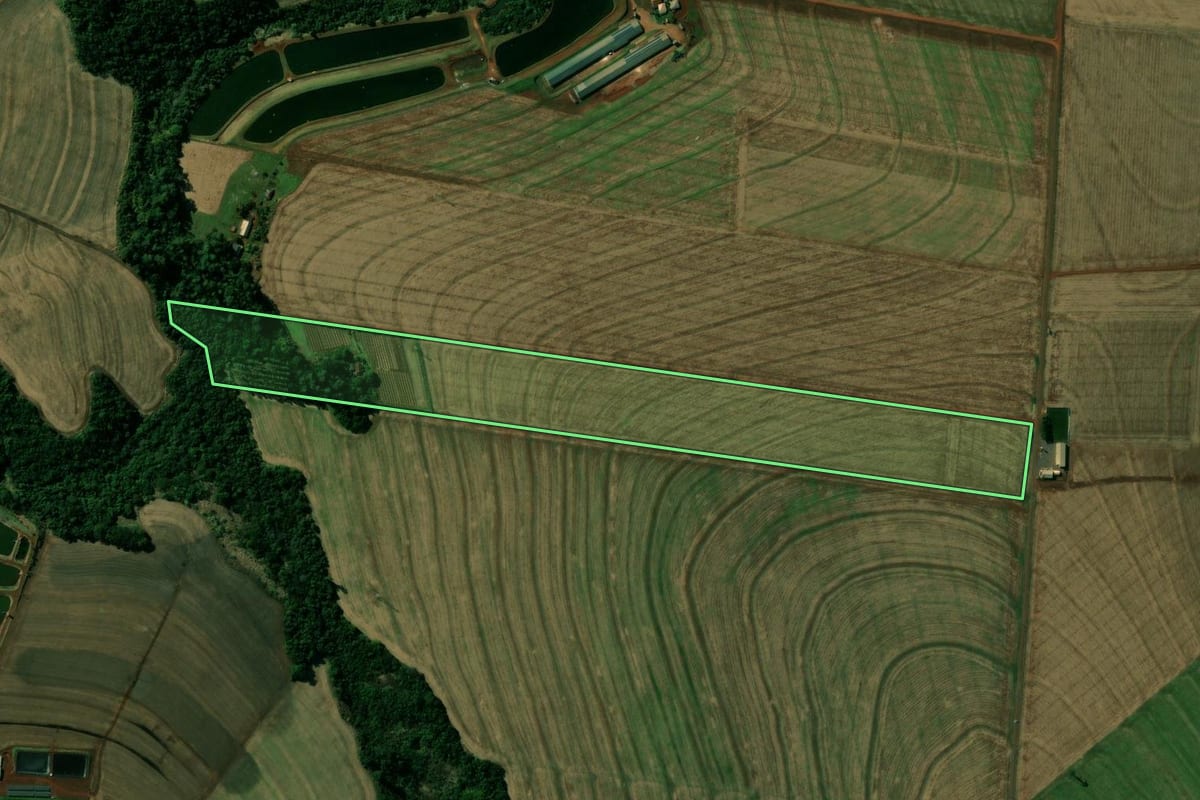 Imagem de satélite do imóvel rural em Nova Aurora (PR), com o contorno declarado no CAR desenhado por cima.