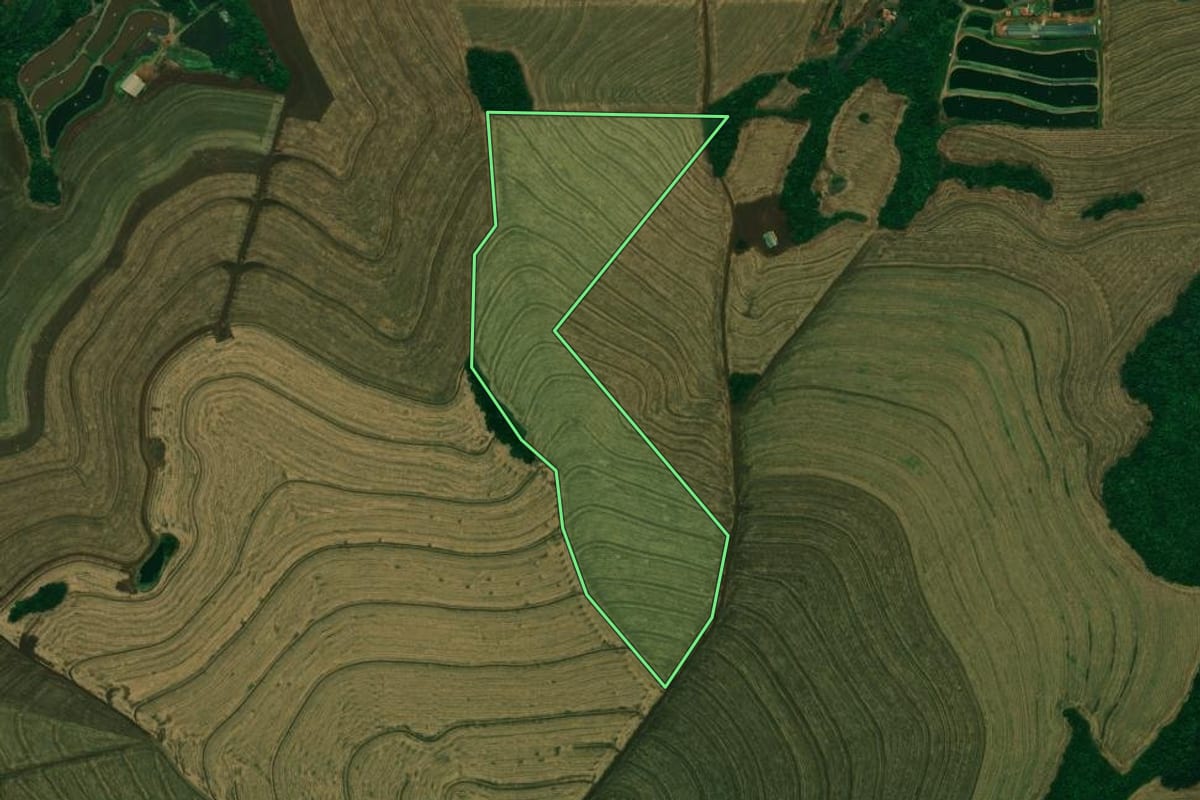Imagem de satélite do imóvel rural em Nova Aurora (PR), com o contorno declarado no CAR desenhado por cima.
