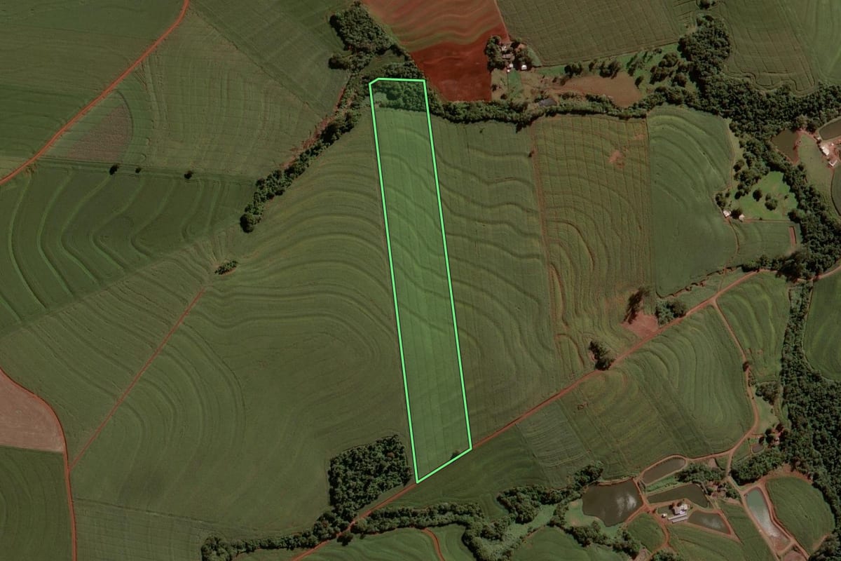 Imagem de satélite do imóvel rural em Nova Aurora (PR), com o contorno declarado no CAR desenhado por cima.