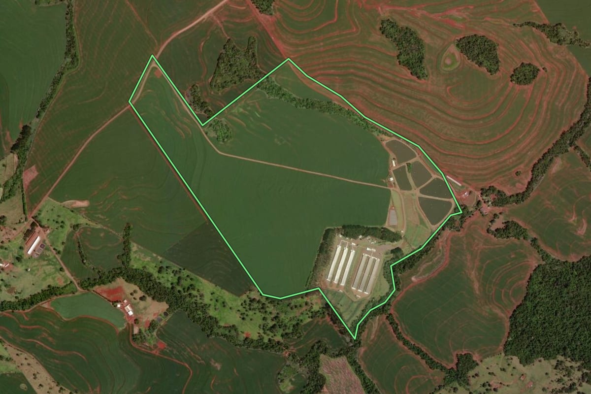 Imagem de satélite do imóvel rural em Nova Aurora (PR), com o contorno declarado no CAR desenhado por cima.