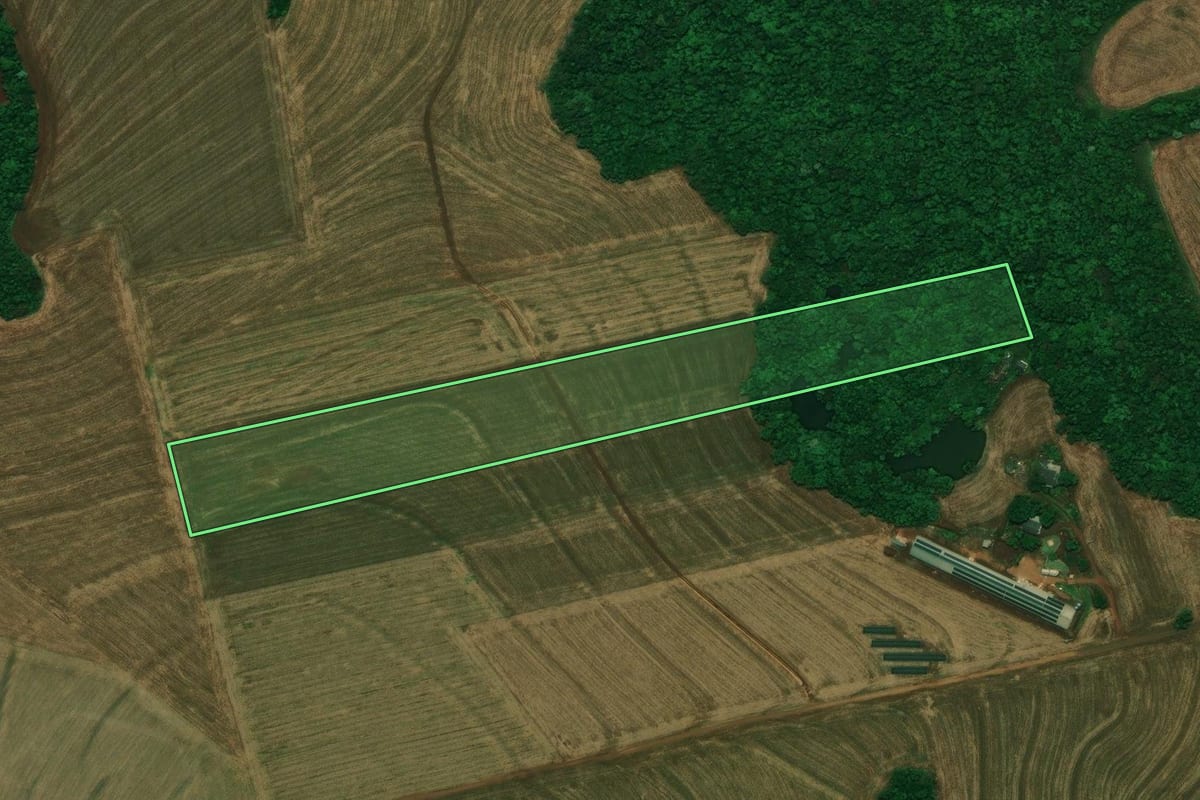 Imagem de satélite do imóvel rural em Nova Aurora (PR), com o contorno declarado no CAR desenhado por cima.