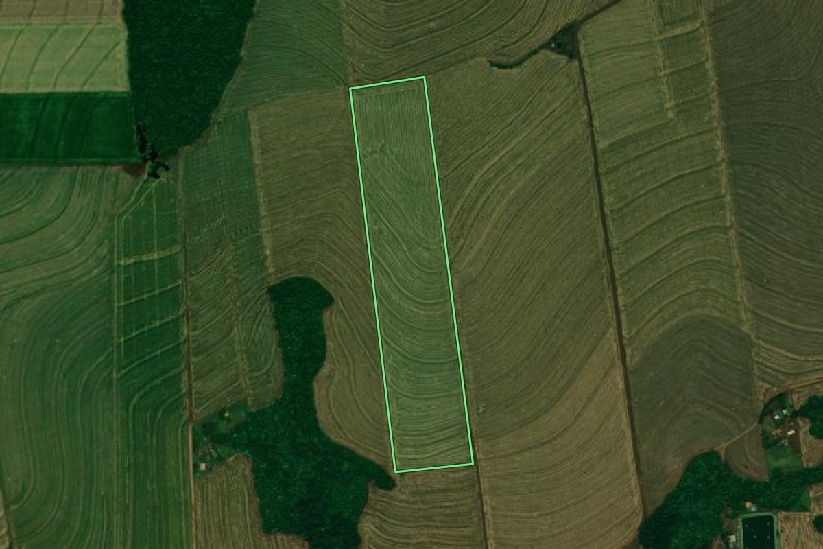 Imagem de satélite do imóvel rural em Nova Aurora (PR), com o contorno declarado no CAR desenhado por cima.
