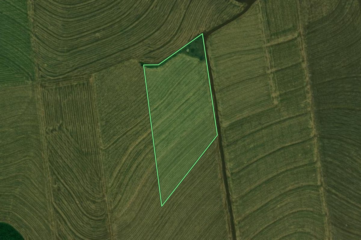 Imagem de satélite do imóvel rural em Nova Aurora (PR), com o contorno declarado no CAR desenhado por cima.