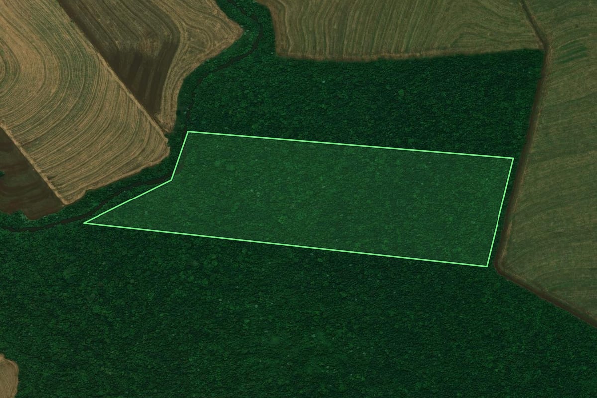 Imagem de satélite do imóvel rural em Nova Aurora (PR), com o contorno declarado no CAR desenhado por cima.