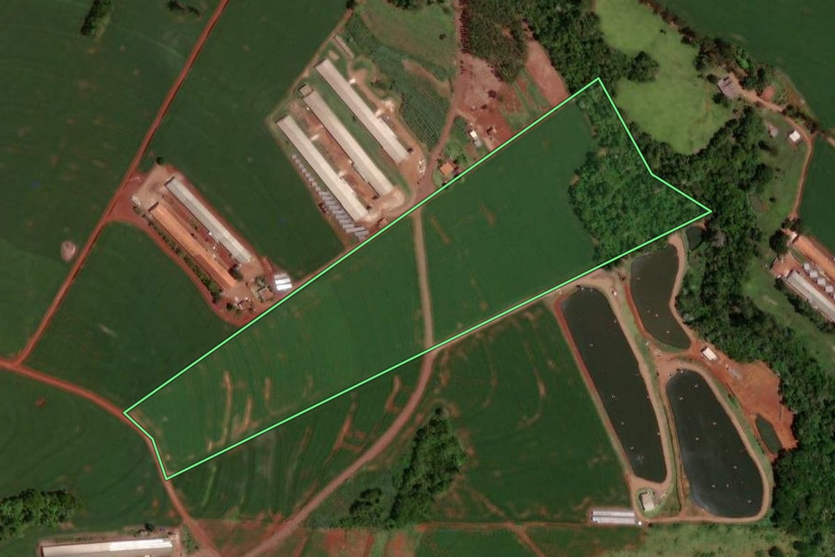 Imagem de satélite do imóvel rural em Nova Aurora (PR), com o contorno declarado no CAR desenhado por cima.