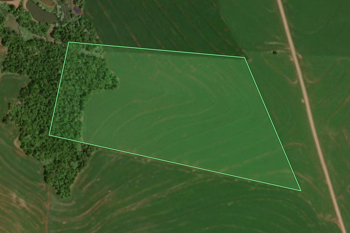Imagem de satélite do imóvel rural em Nova Aurora (PR), com o contorno declarado no CAR desenhado por cima.