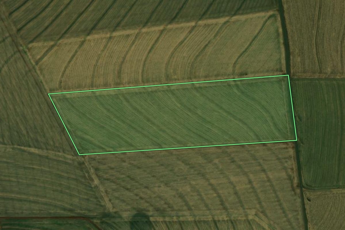 Imagem de satélite do imóvel rural em Nova Aurora (PR), com o contorno declarado no CAR desenhado por cima.