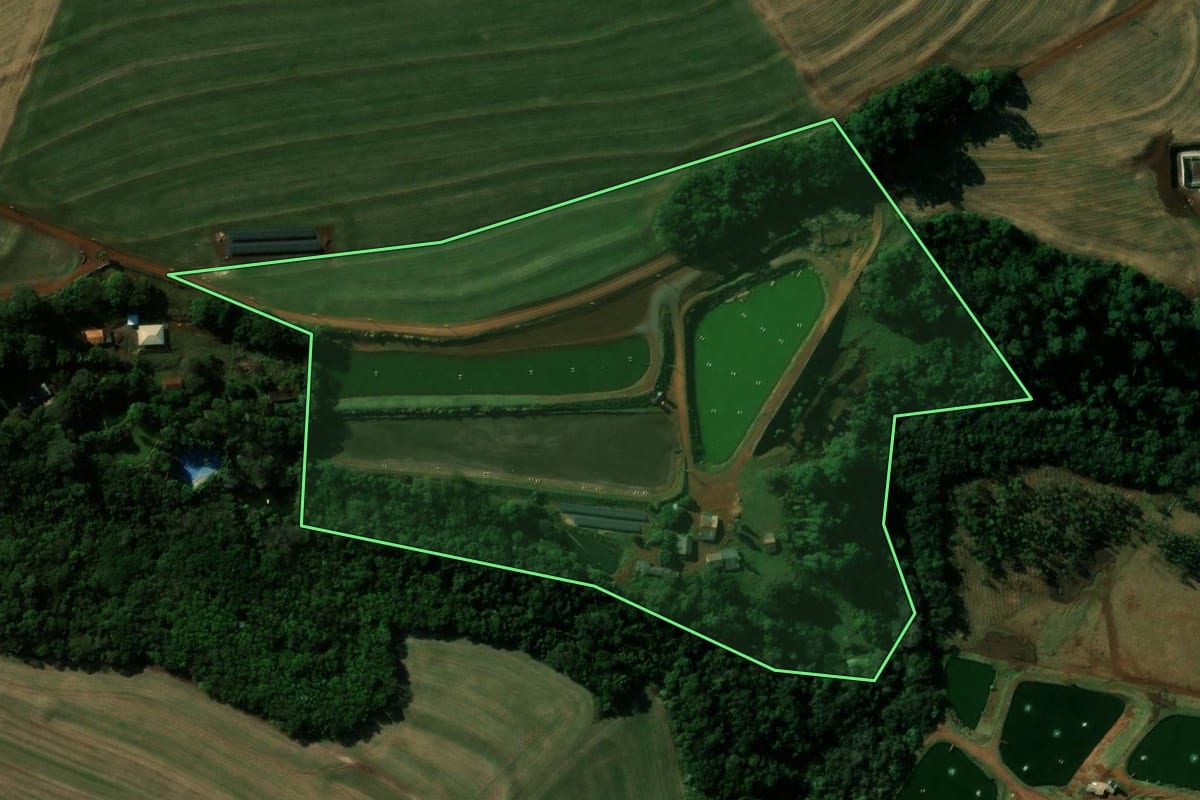 Imagem de satélite do imóvel rural em Nova Aurora (PR), com o contorno declarado no CAR desenhado por cima.