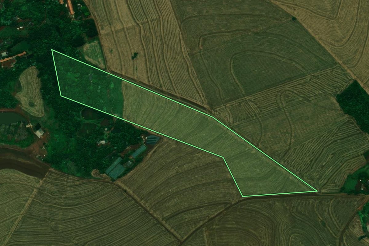 Imagem de satélite do imóvel rural em Nova Aurora (PR), com o contorno declarado no CAR desenhado por cima.