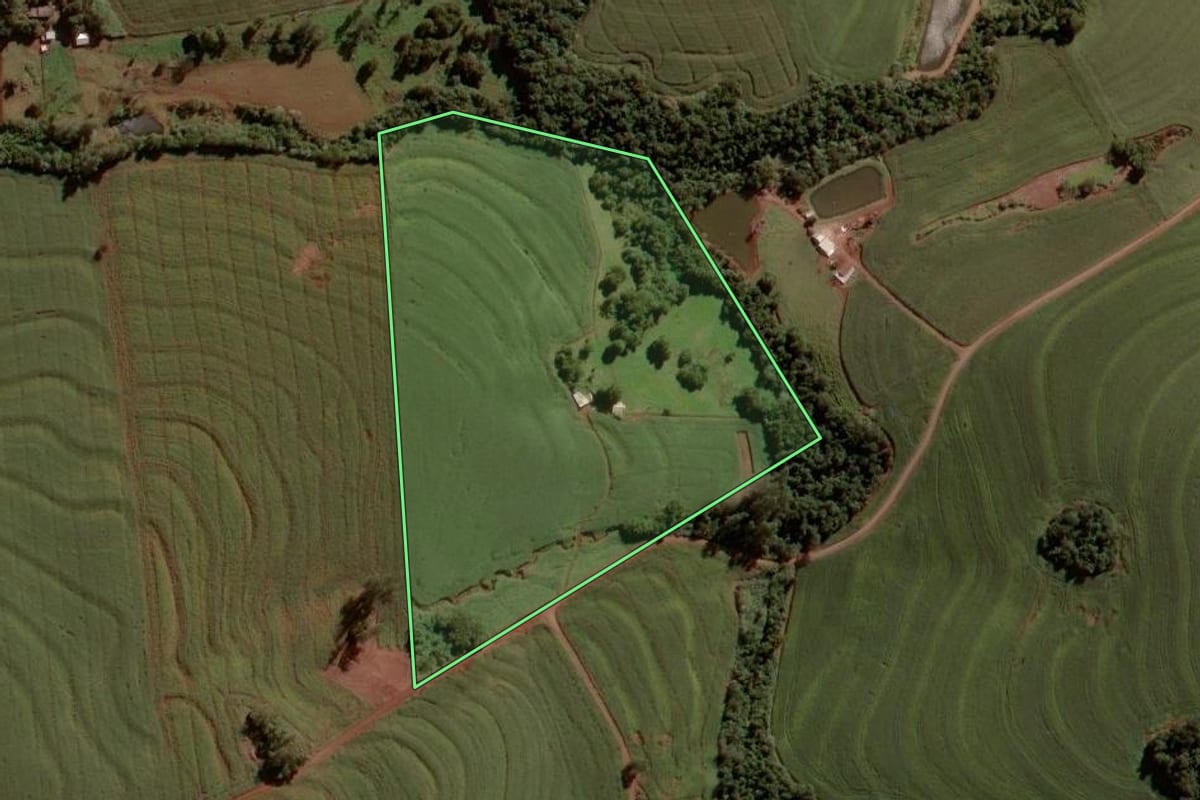 Imagem de satélite do imóvel rural em Nova Aurora (PR), com o contorno declarado no CAR desenhado por cima.