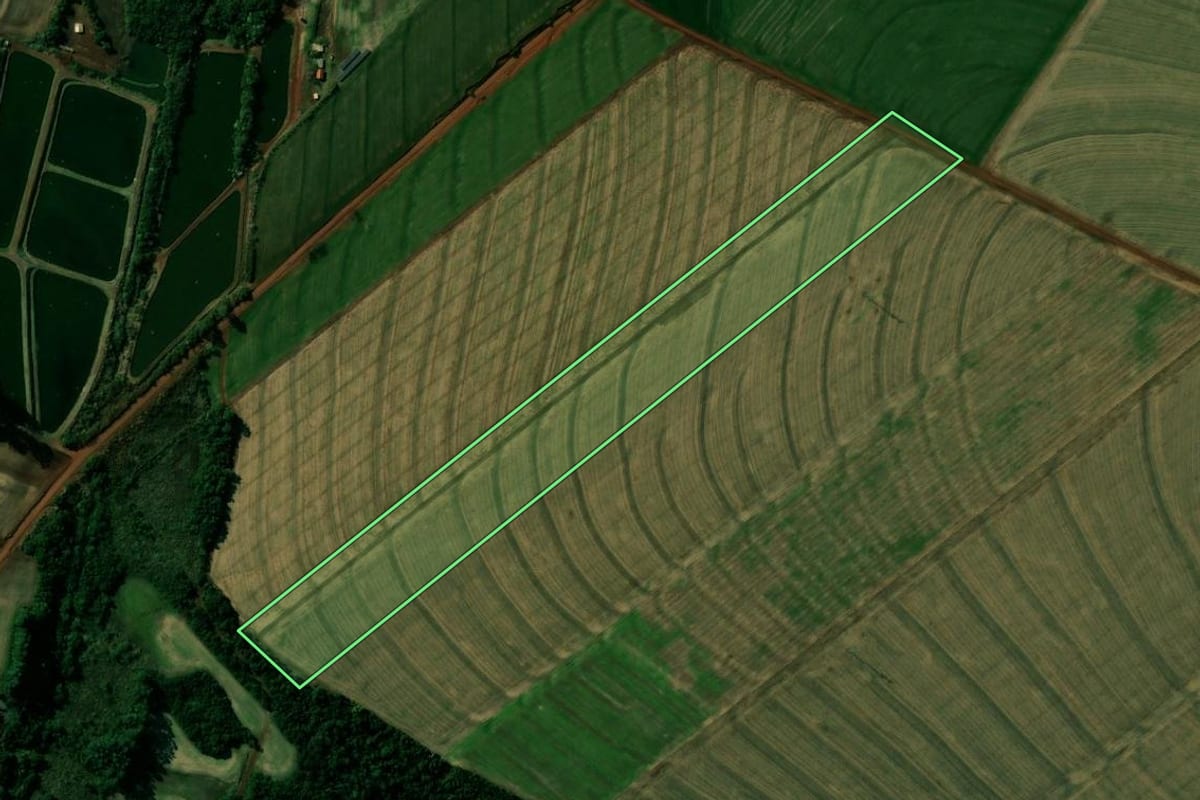 Imagem de satélite do imóvel rural em Nova Aurora (PR), com o contorno declarado no CAR desenhado por cima.