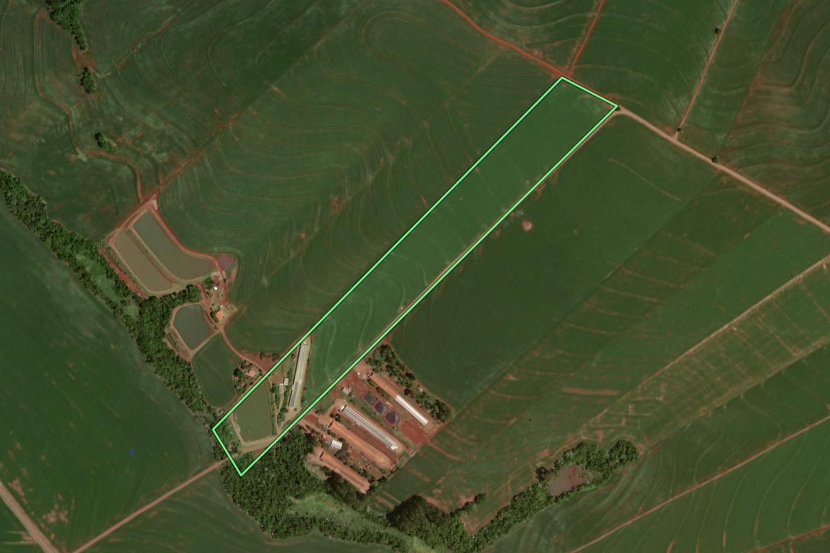 Imagem de satélite do imóvel rural em Nova Aurora (PR), com o contorno declarado no CAR desenhado por cima.