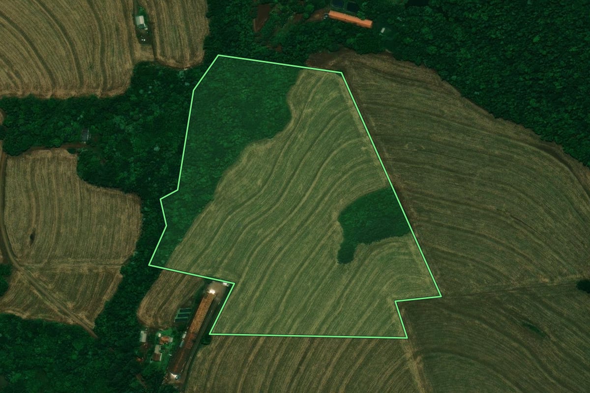 Imagem de satélite do imóvel rural em Nova Aurora (PR), com o contorno declarado no CAR desenhado por cima.