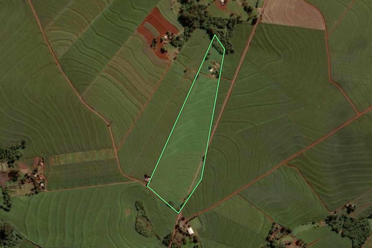 Imagem de satélite do imóvel rural em Nova Aurora (PR), com o contorno declarado no CAR desenhado por cima.