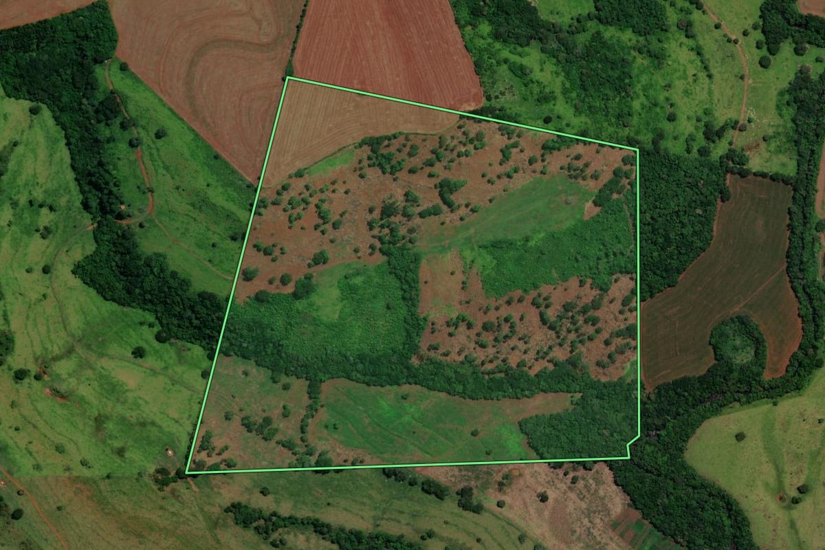 Imagem de satélite do imóvel rural em Nova Cantu (PR), com o contorno declarado no CAR desenhado por cima.
