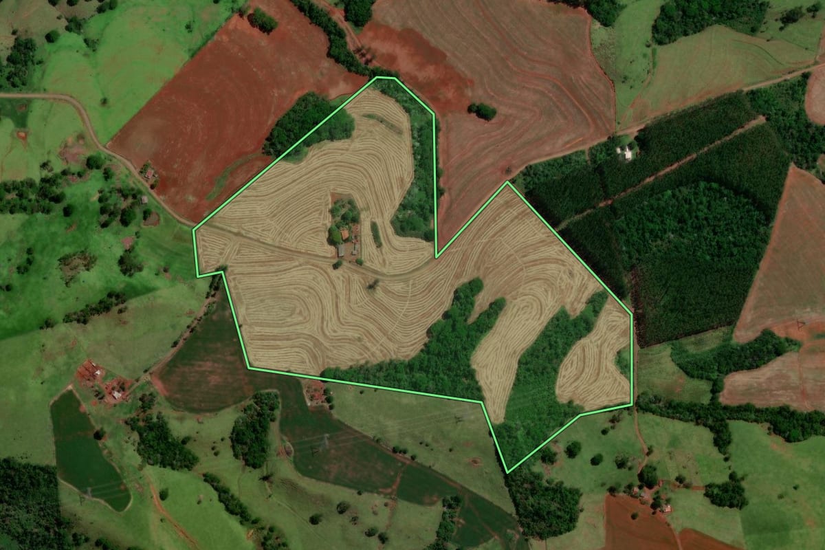 Imagem de satélite do imóvel rural em Nova Cantu (PR), com o contorno declarado no CAR desenhado por cima.