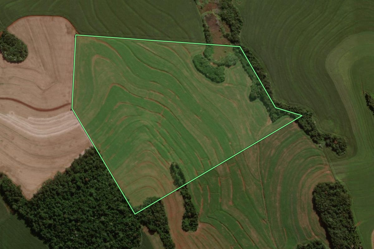 Imagem de satélite do imóvel rural em Nova Cantu (PR), com o contorno declarado no CAR desenhado por cima.