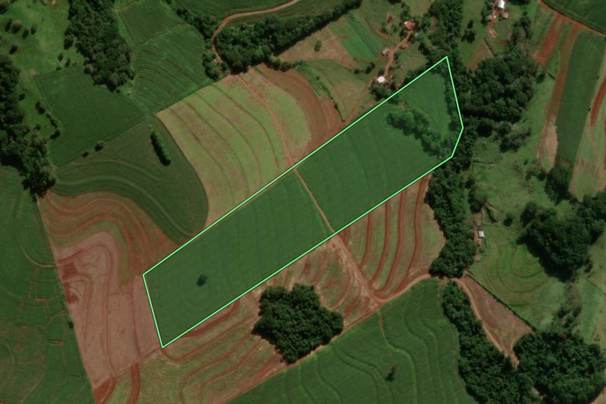Imagem de satélite do imóvel rural em Nova Cantu (PR), com o contorno declarado no CAR desenhado por cima.