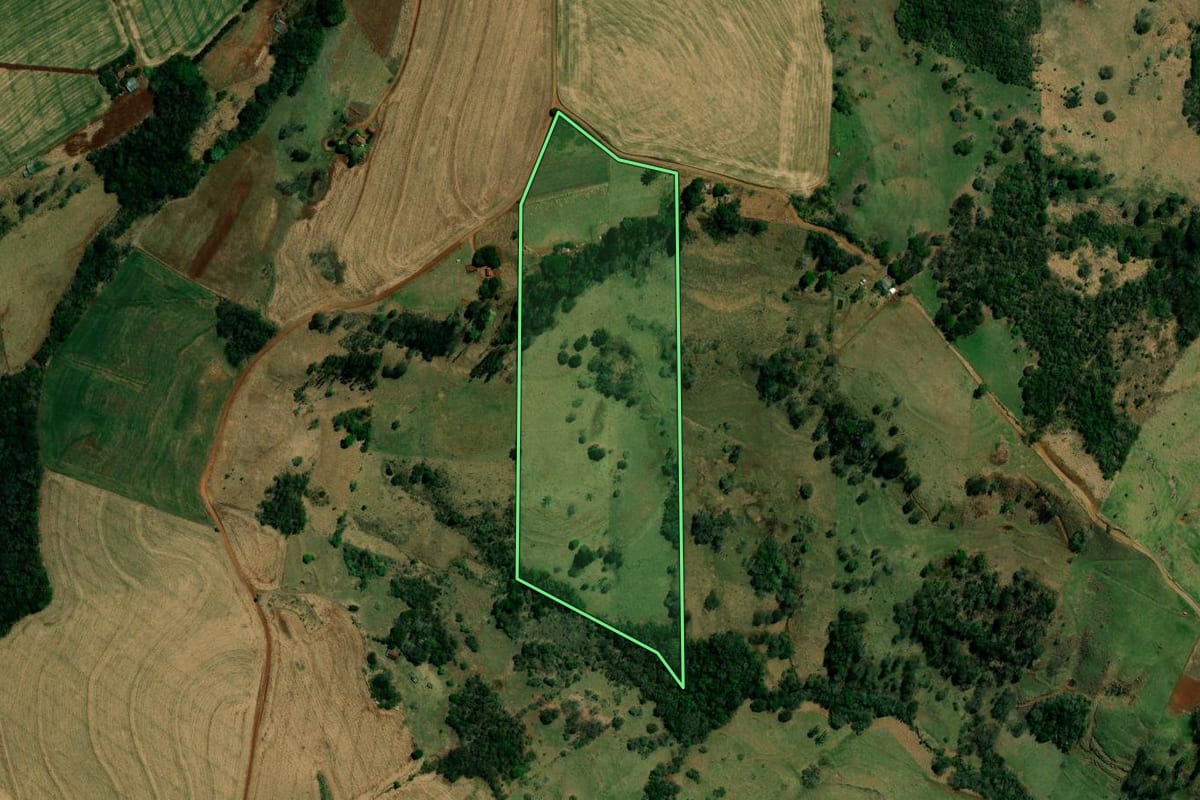Imagem de satélite do imóvel rural em Nova Cantu (PR), com o contorno declarado no CAR desenhado por cima.