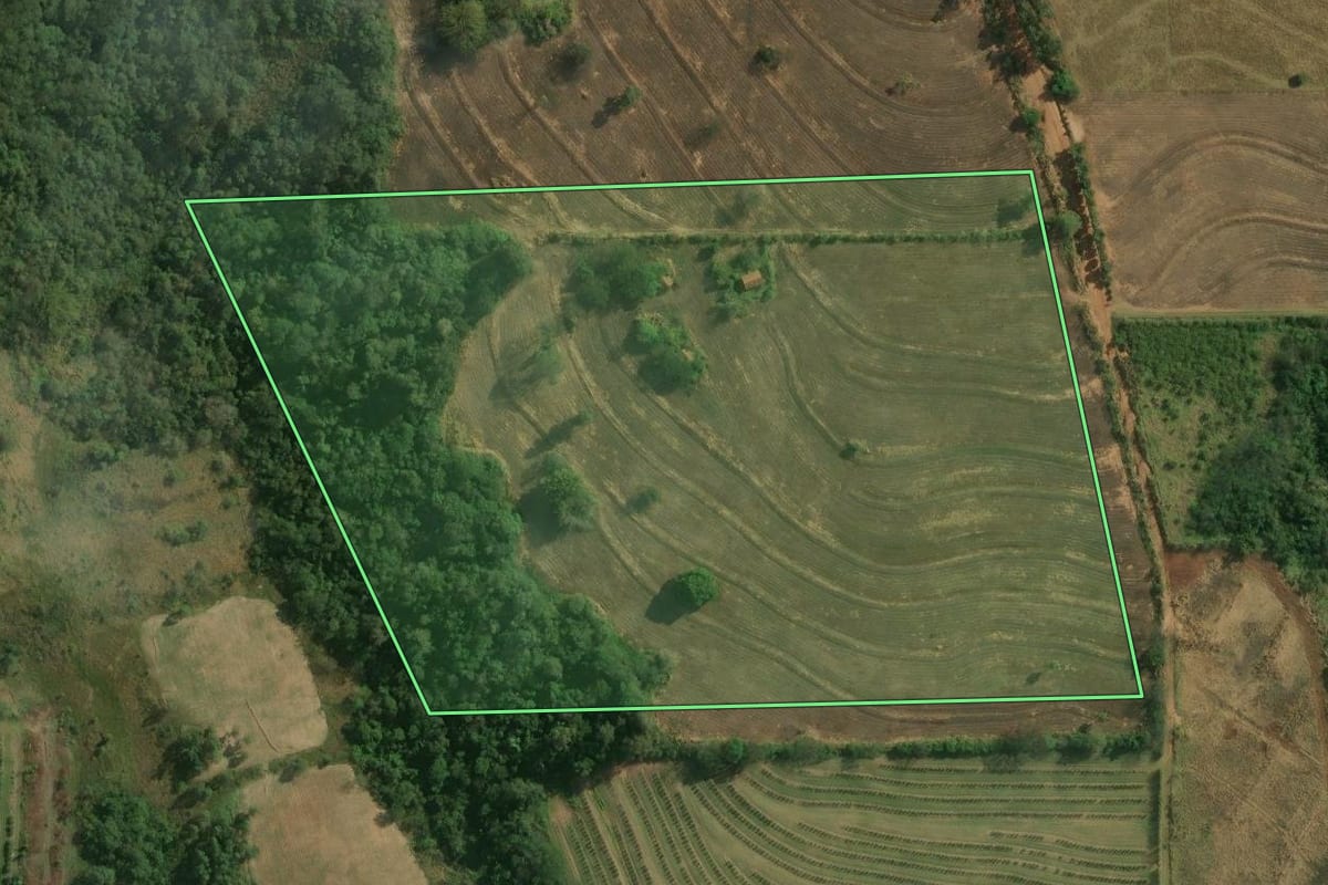 Imagem de satélite do imóvel rural em Nova Esperança (PR), com o contorno declarado no CAR desenhado por cima.