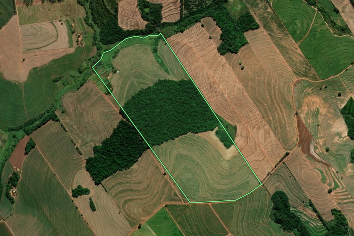 Imagem de satélite do imóvel rural em Nova Esperança (PR), com o contorno declarado no CAR desenhado por cima.