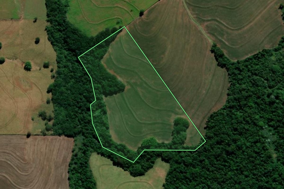 Imagem de satélite do imóvel rural em Nova Esperança (PR), com o contorno declarado no CAR desenhado por cima.