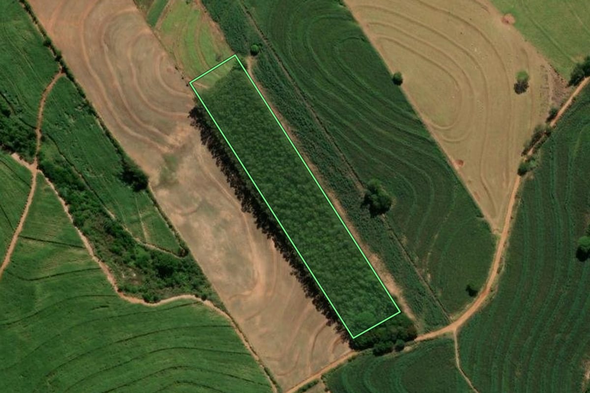 Imagem de satélite do imóvel rural em Nova Esperança (PR), com o contorno declarado no CAR desenhado por cima.