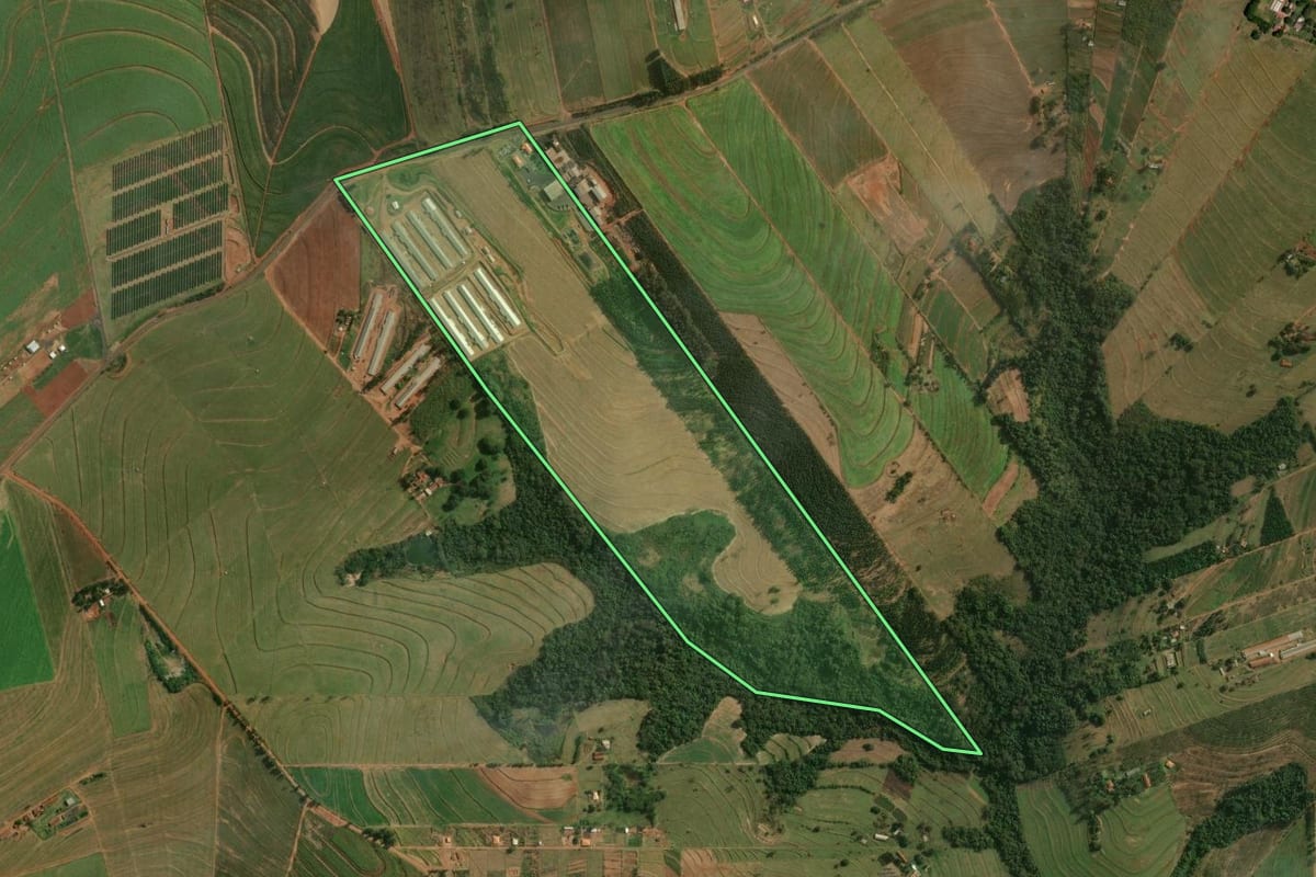 Imagem de satélite do imóvel rural em Nova Esperança (PR), com o contorno declarado no CAR desenhado por cima.