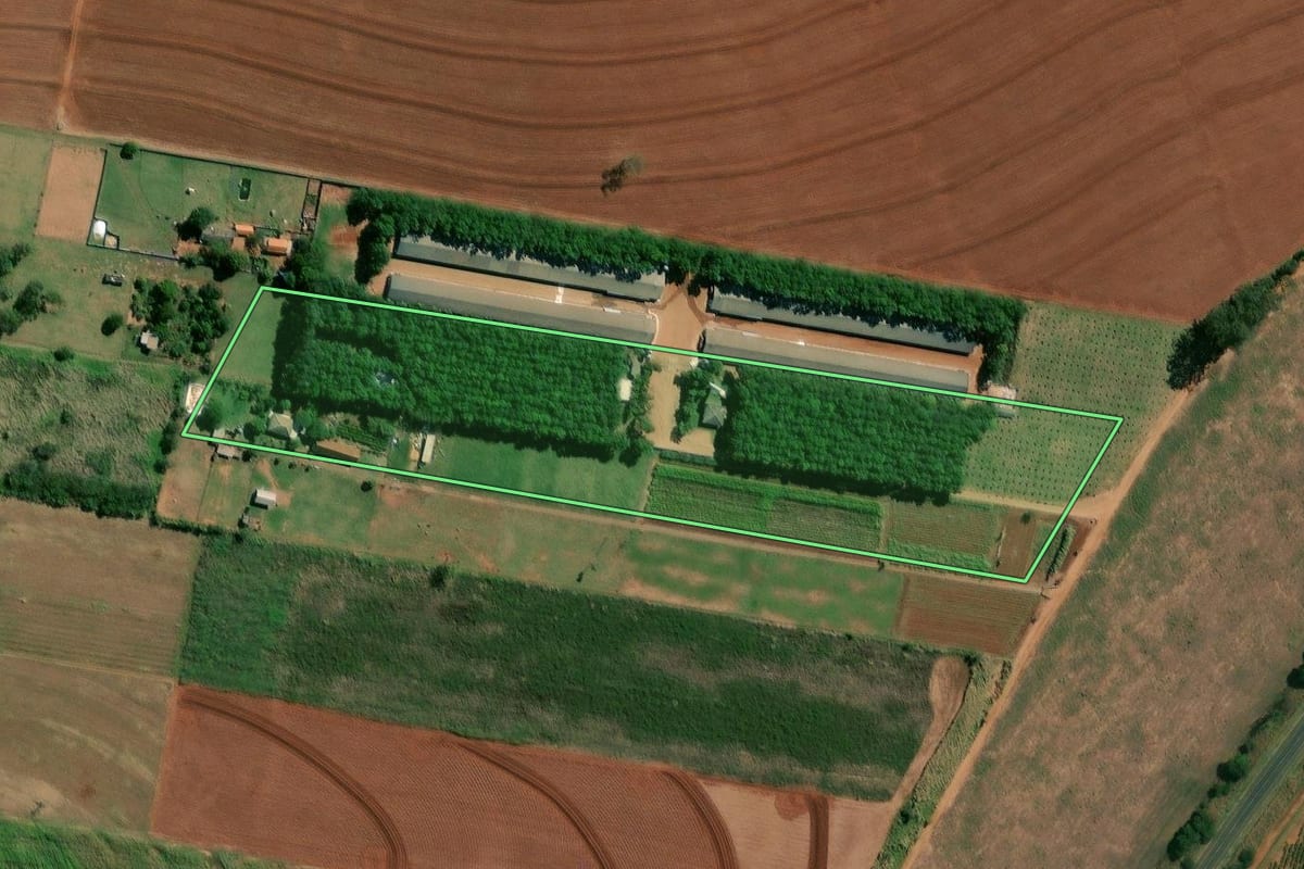 Imagem de satélite do imóvel rural em Nova Esperança (PR), com o contorno declarado no CAR desenhado por cima.