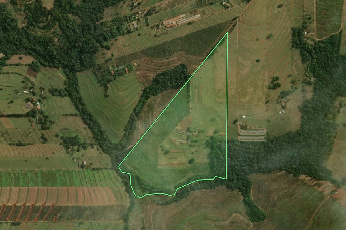 Imagem de satélite do imóvel rural em Nova Esperança (PR), com o contorno declarado no CAR desenhado por cima.