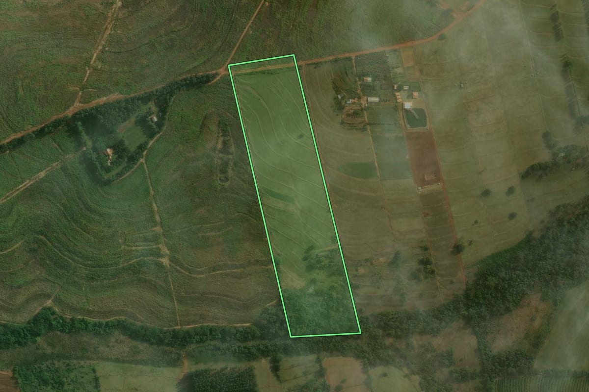Imagem de satélite do imóvel rural em Nova Esperança (PR), com o contorno declarado no CAR desenhado por cima.