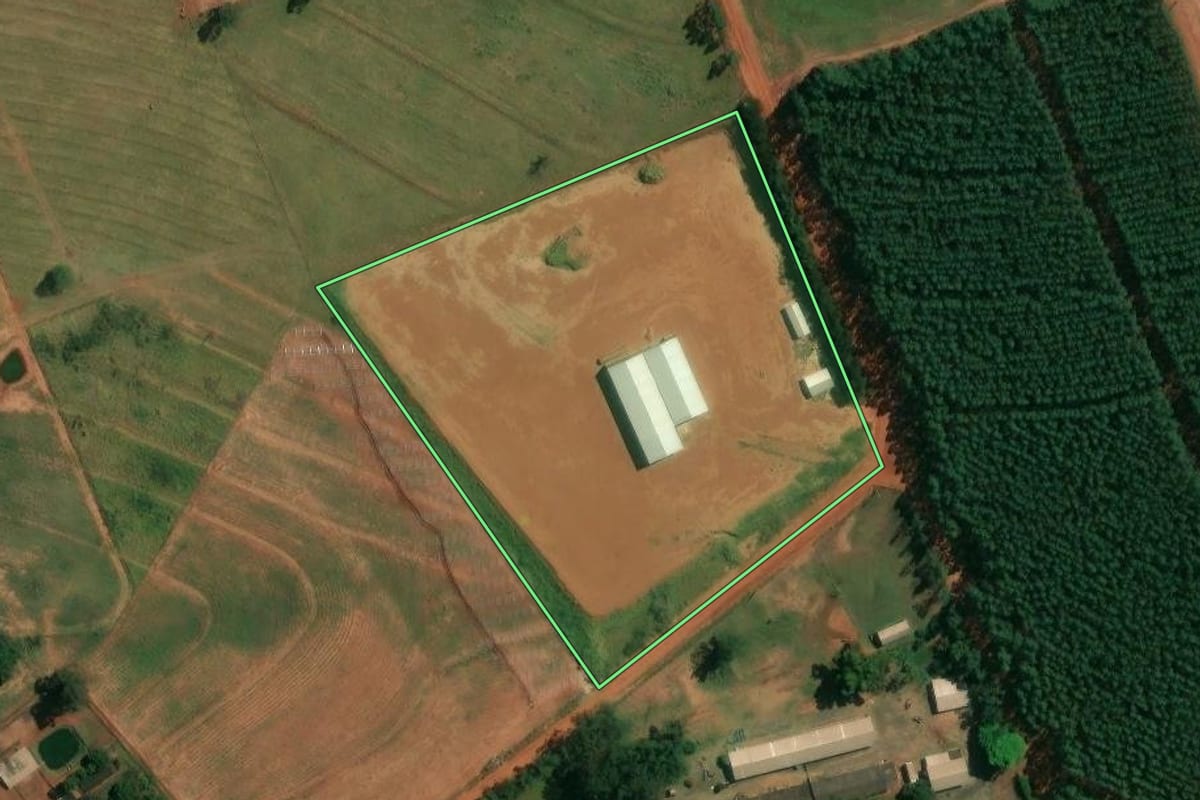 Imagem de satélite do imóvel rural em Nova Esperança (PR), com o contorno declarado no CAR desenhado por cima.