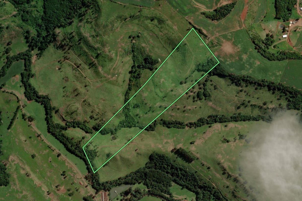 Imagem de satélite do imóvel rural em Nova Esperança do Sudoeste (PR), com o contorno declarado no CAR desenhado por cima.