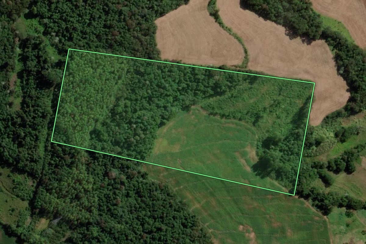 Imagem de satélite do imóvel rural em Nova Esperança do Sudoeste (PR), com o contorno declarado no CAR desenhado por cima.