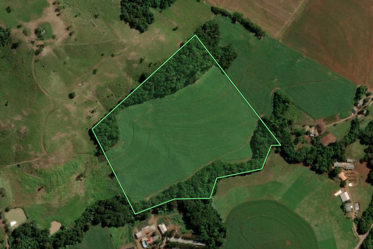 Imagem de satélite do imóvel rural em Nova Esperança do Sudoeste (PR), com o contorno declarado no CAR desenhado por cima.