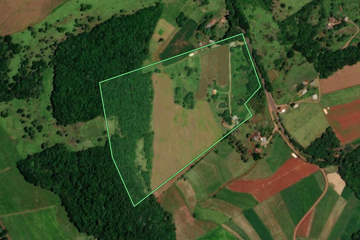 Imagem de satélite do imóvel rural em Nova Esperança do Sudoeste (PR), com o contorno declarado no CAR desenhado por cima.