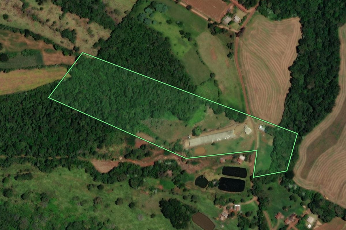 Imagem de satélite do imóvel rural em Nova Esperança do Sudoeste (PR), com o contorno declarado no CAR desenhado por cima.