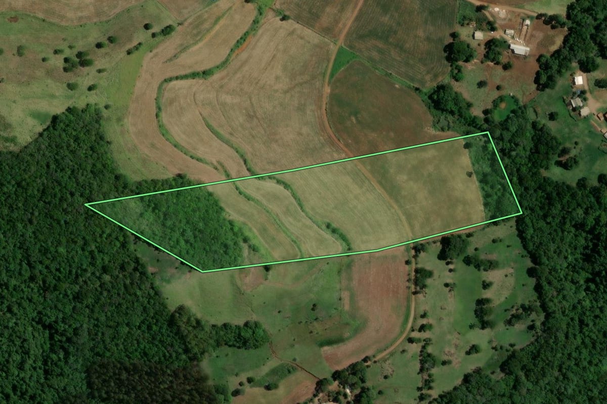 Imagem de satélite do imóvel rural em Nova Esperança do Sudoeste (PR), com o contorno declarado no CAR desenhado por cima.