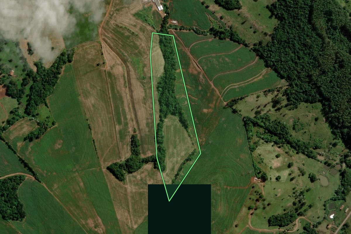 Imagem de satélite do imóvel rural em Nova Esperança do Sudoeste (PR), com o contorno declarado no CAR desenhado por cima.