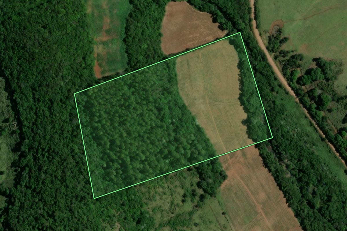 Imagem de satélite do imóvel rural em Nova Esperança do Sudoeste (PR), com o contorno declarado no CAR desenhado por cima.
