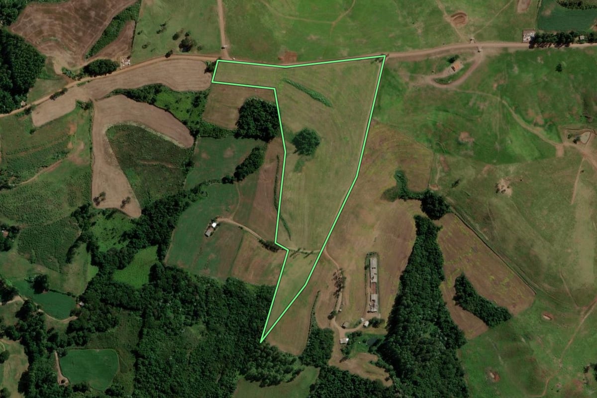 Imagem de satélite do imóvel rural em Nova Esperança do Sudoeste (PR), com o contorno declarado no CAR desenhado por cima.
