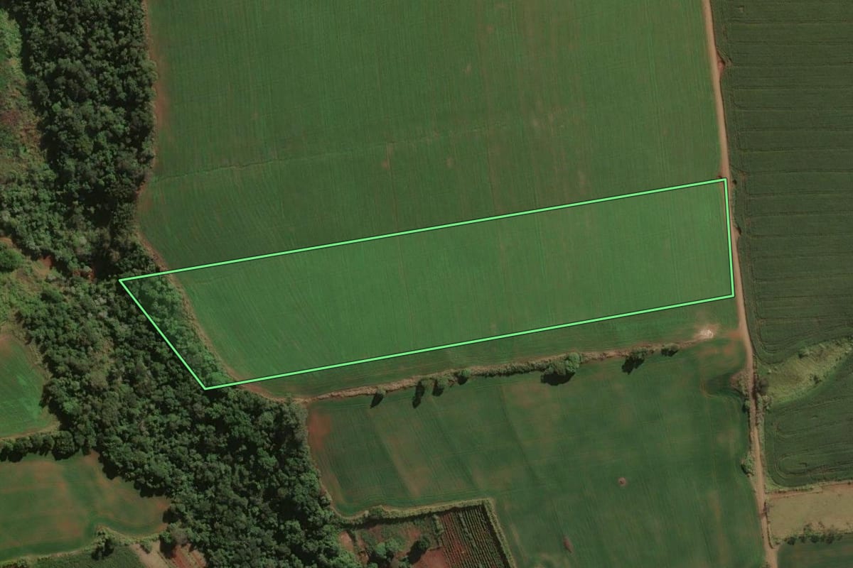 Imagem de satélite do imóvel rural em Nova Fátima (PR), com o contorno declarado no CAR desenhado por cima.