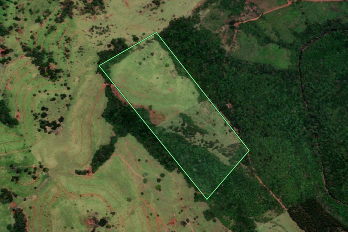 Imagem de satélite do imóvel rural em Nova Laranjeiras (PR), com o contorno declarado no CAR desenhado por cima.