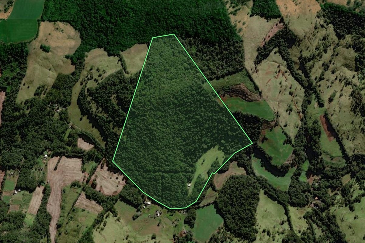 Imagem de satélite do imóvel rural em Nova Laranjeiras (PR), com o contorno declarado no CAR desenhado por cima.