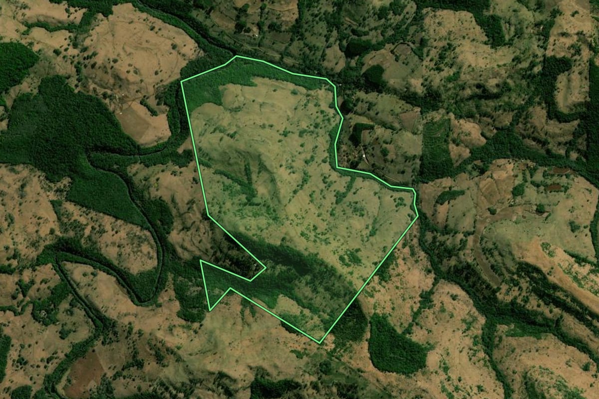 Imagem de satélite do imóvel rural em Nova Laranjeiras (PR), com o contorno declarado no CAR desenhado por cima.
