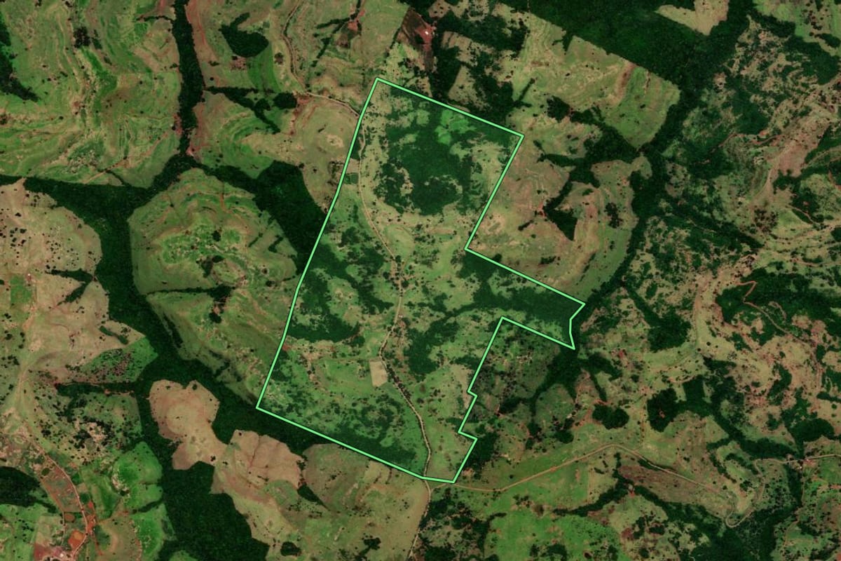 Imagem de satélite do imóvel rural em Nova Laranjeiras (PR), com o contorno declarado no CAR desenhado por cima.