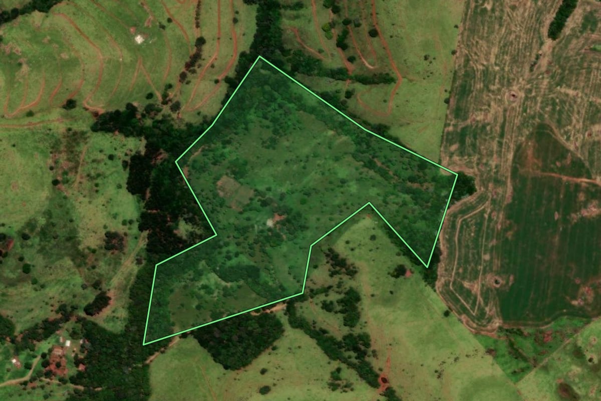 Imagem de satélite do imóvel rural em Nova Laranjeiras (PR), com o contorno declarado no CAR desenhado por cima.