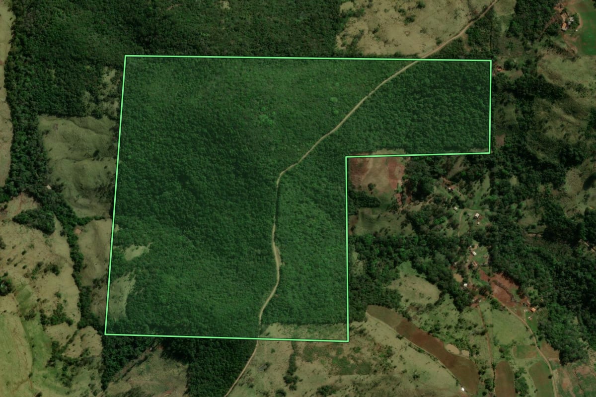 Imagem de satélite do imóvel rural em Nova Laranjeiras (PR), com o contorno declarado no CAR desenhado por cima.